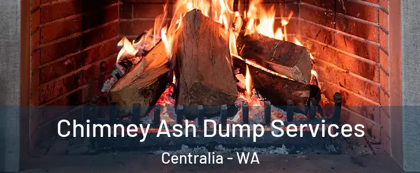  Chimney Ash Dump Services Centralia - WA