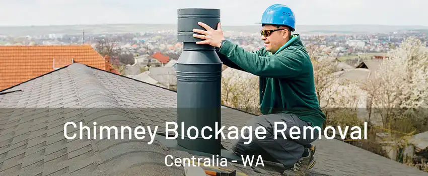  Chimney Blockage Removal Centralia - WA