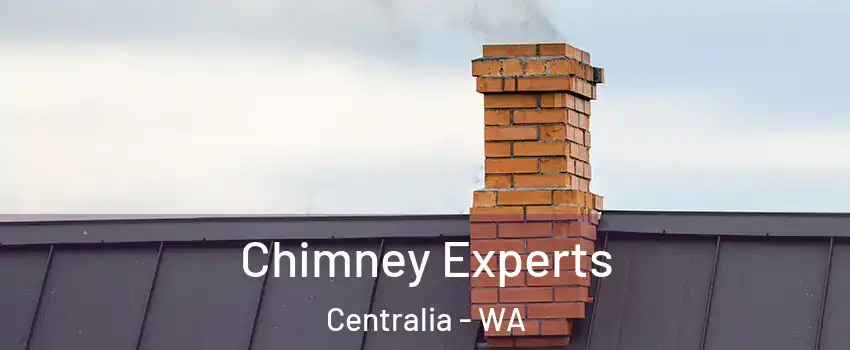  Chimney Experts Centralia - WA