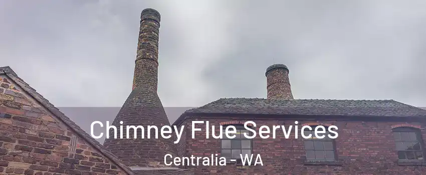  Chimney Flue Services Centralia - WA