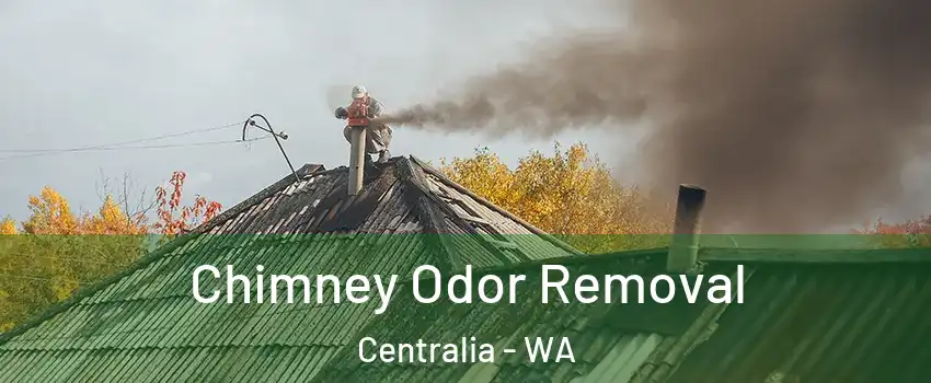  Chimney Odor Removal Centralia - WA