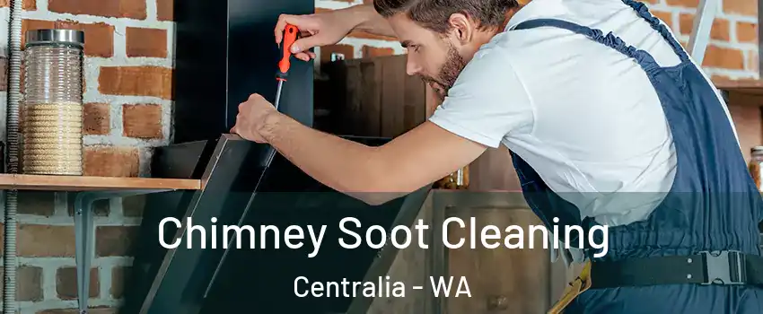  Chimney Soot Cleaning Centralia - WA