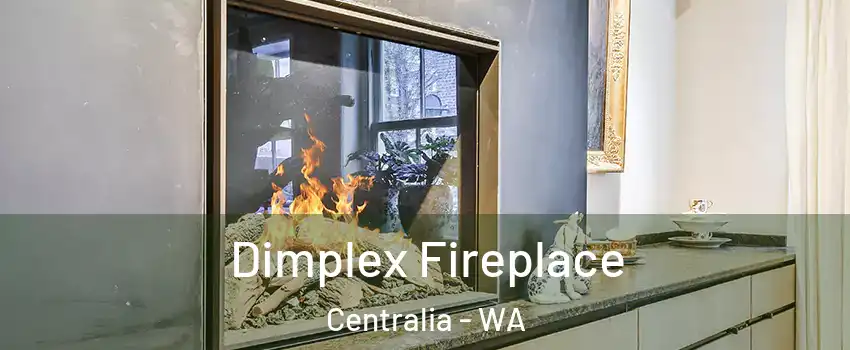  Dimplex Fireplace Centralia - WA