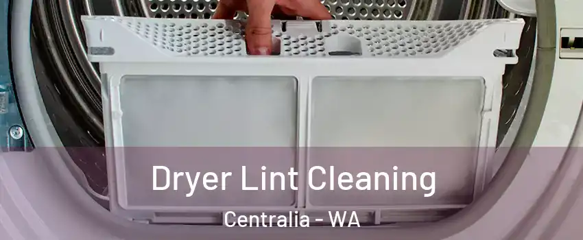  Dryer Lint Cleaning Centralia - WA