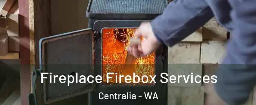  Fireplace Firebox Services Centralia - WA