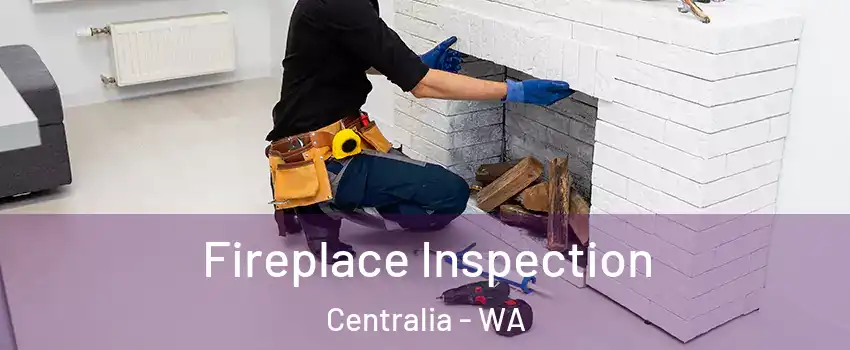  Fireplace Inspection Centralia - WA