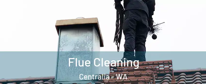  Flue Cleaning Centralia - WA