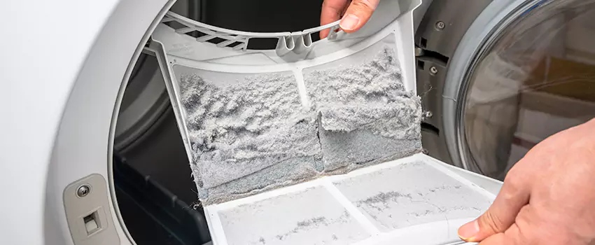 Best Dryer Lint Removal Company in Centralia, Washington