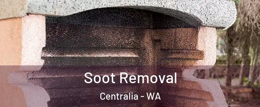  Soot Removal Centralia - WA