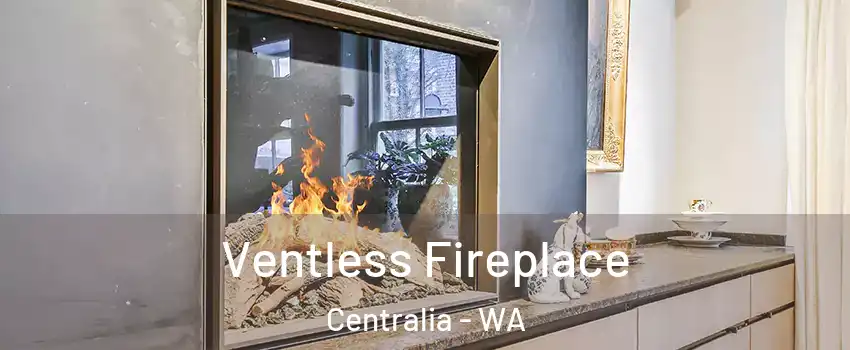  Ventless Fireplace Centralia - WA