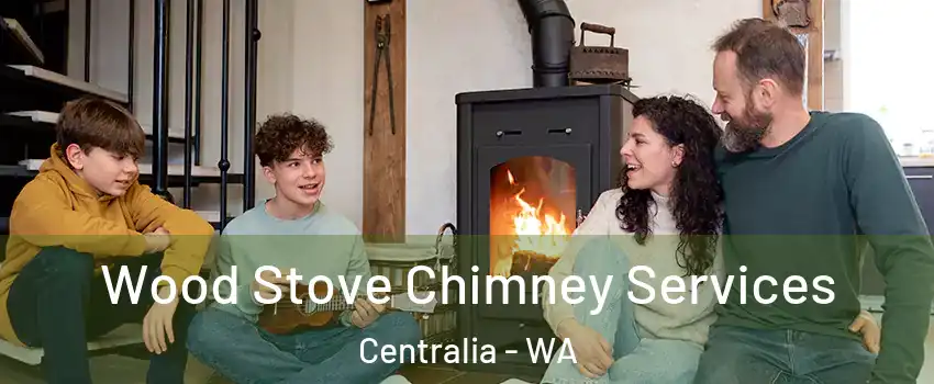  Wood Stove Chimney Services Centralia - WA